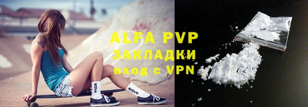 стафф Карпинск