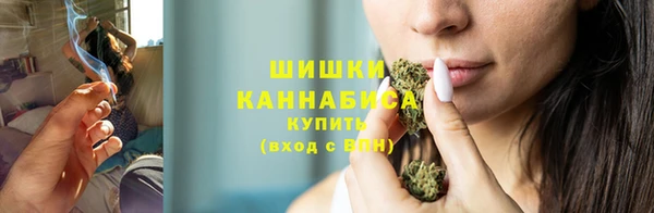 стафф Карпинск