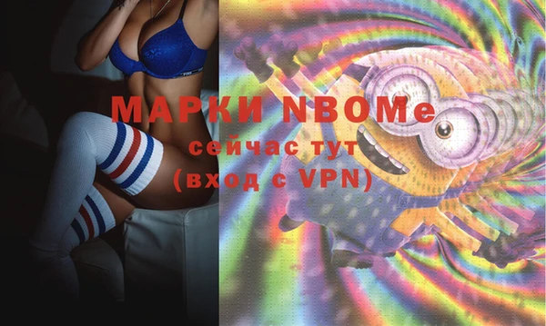 стафф Карпинск