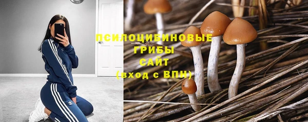 мет Карталы