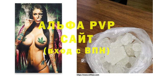 стафф Карпинск
