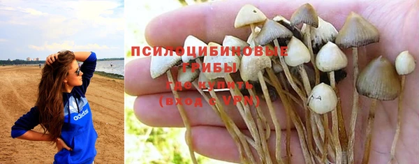 apvp Корсаков