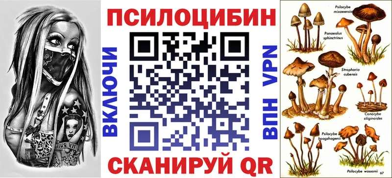 Купить закладки  Краснотурьинск  Галлюциногенные грибы Psilocybe 